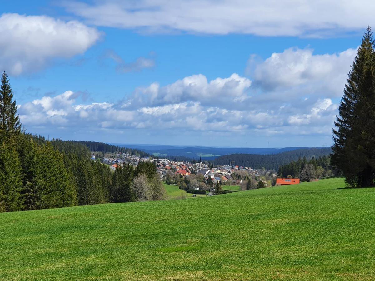 Ferienhaus-Schoenwald Im Herzen Des Schwarzwaldes 2-Zimmer-Maisonette-Wohnung Mit Balkon App 12 Esterno foto