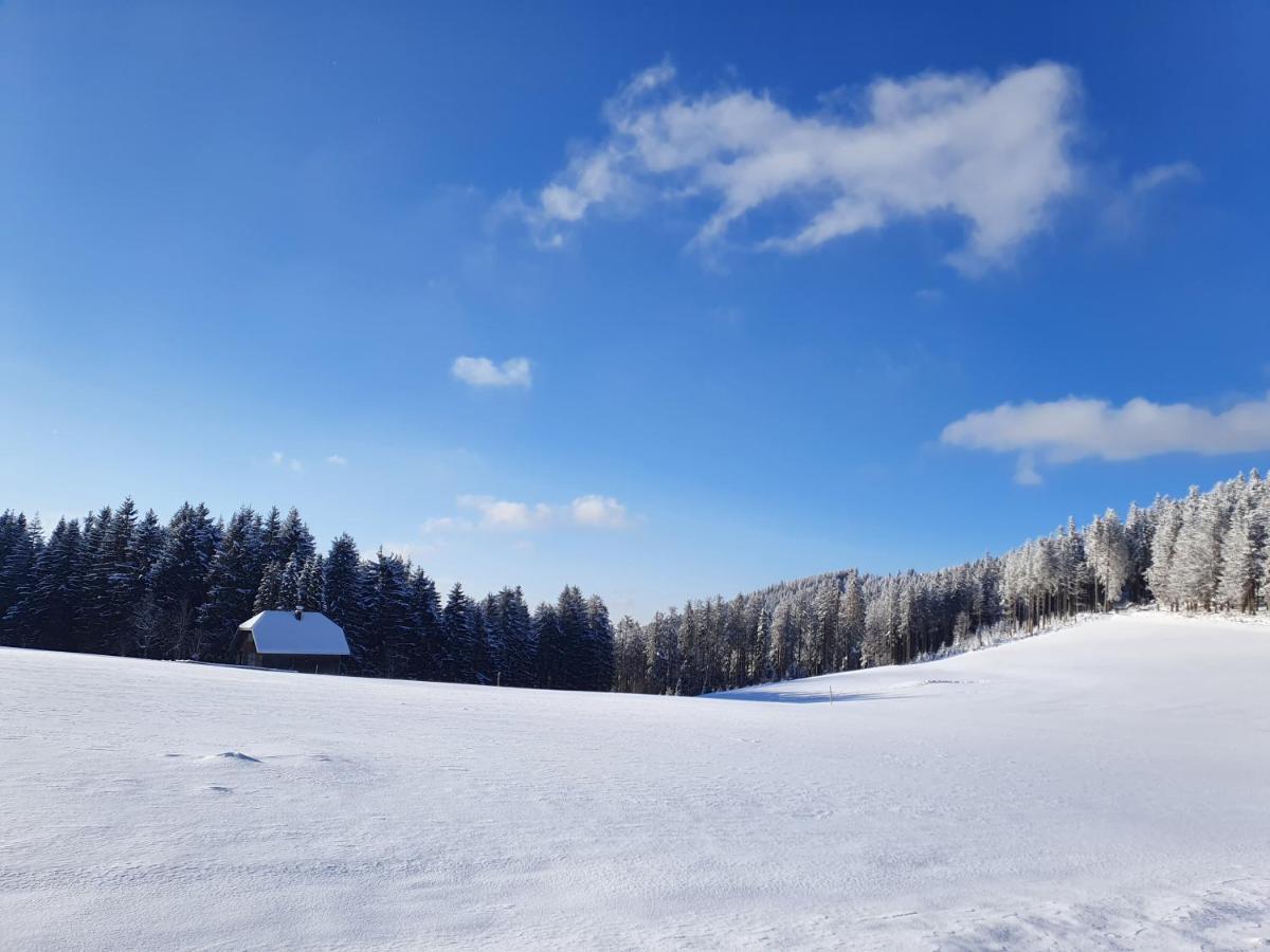 Ferienhaus-Schoenwald Im Herzen Des Schwarzwaldes 2-Zimmer-Maisonette-Wohnung Mit Balkon App 12 Esterno foto
