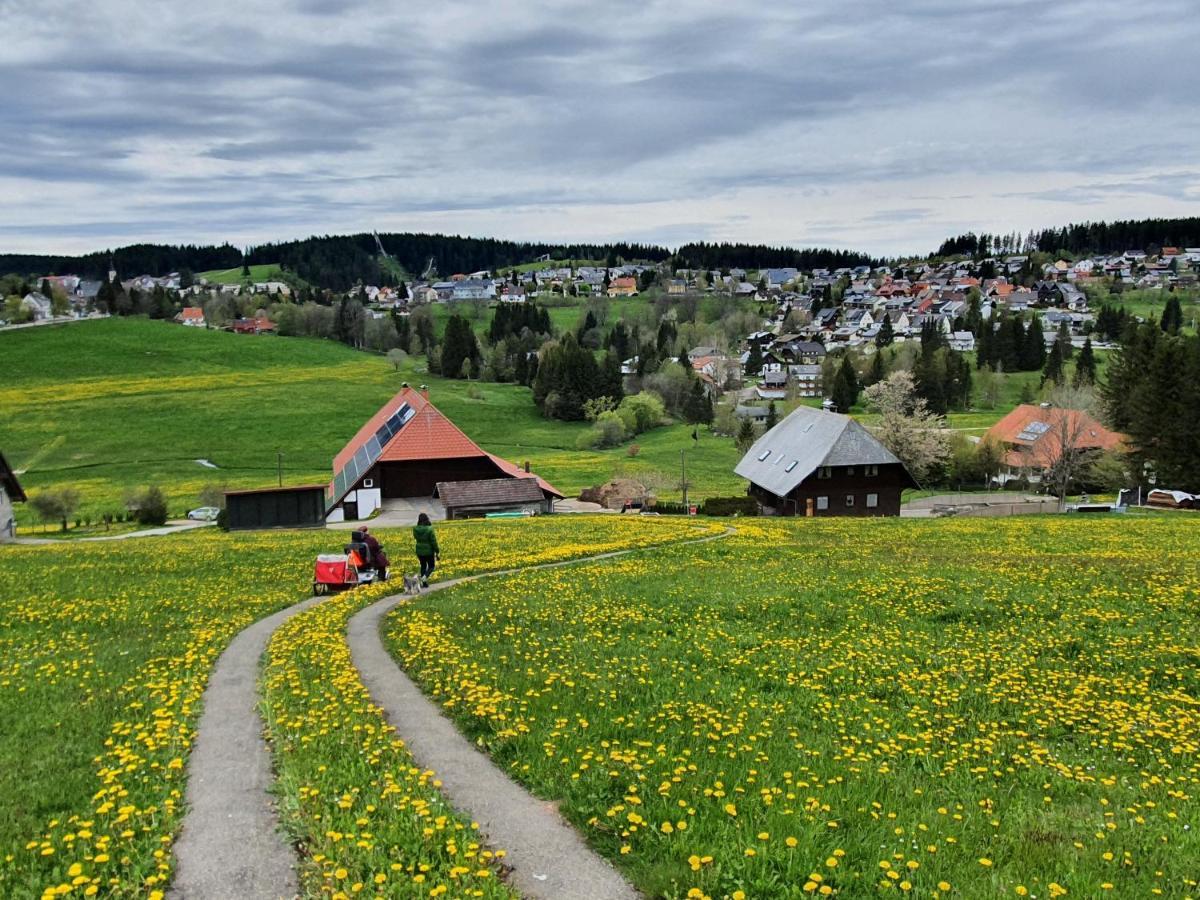 Ferienhaus-Schoenwald Im Herzen Des Schwarzwaldes 2-Zimmer-Maisonette-Wohnung Mit Balkon App 12 Esterno foto